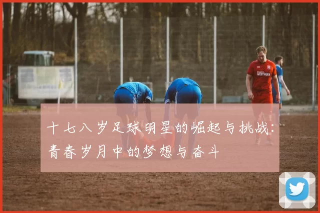 十七八岁足球明星的崛起与挑战：青春岁月中的梦想与奋斗