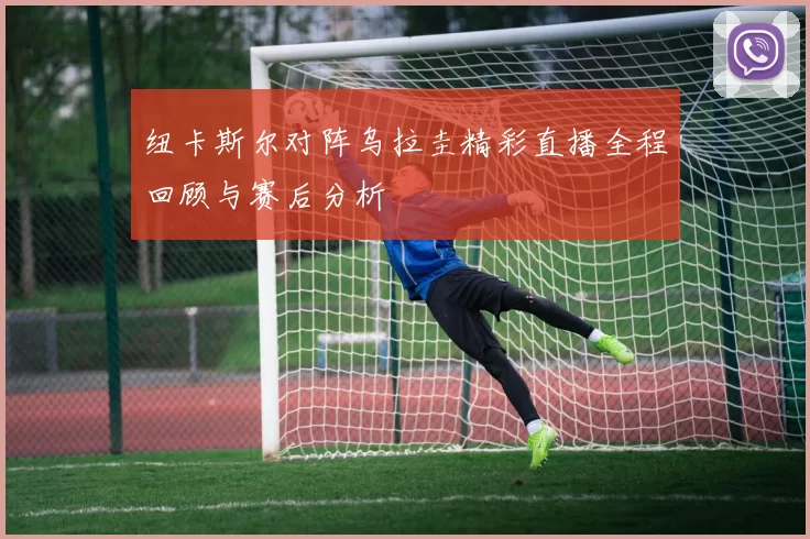 纽卡斯尔对阵乌拉圭精彩直播全程回顾与赛后分析