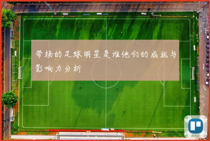 带杨的足球明星是谁他们的成就与影响力分析
