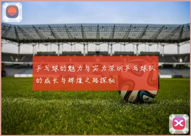 乒乓球的魅力与实力深圳乒乓球队的成长与辉煌之路探秘