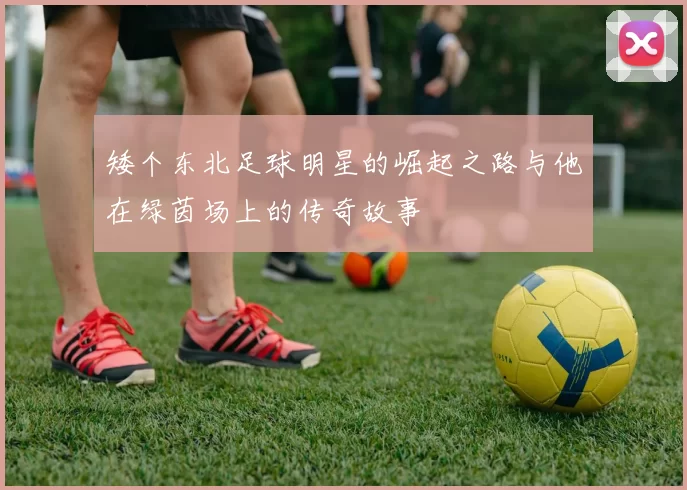 矮个东北足球明星的崛起之路与他在绿茵场上的传奇故事