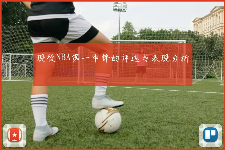 现役NBA第一中锋的评选与表现分析