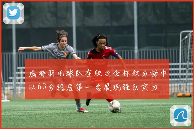 成都羽毛球队在联合会杯积分榜中以63分稳居第一名展现强劲实力