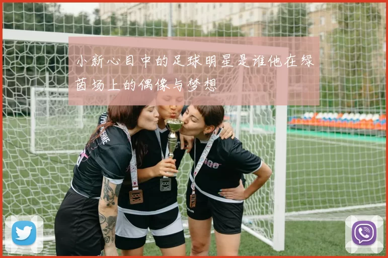 小新心目中的足球明星是谁他在绿茵场上的偶像与梦想