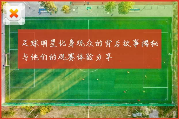 足球明星化身观众的背后故事揭秘与他们的观赛体验分享