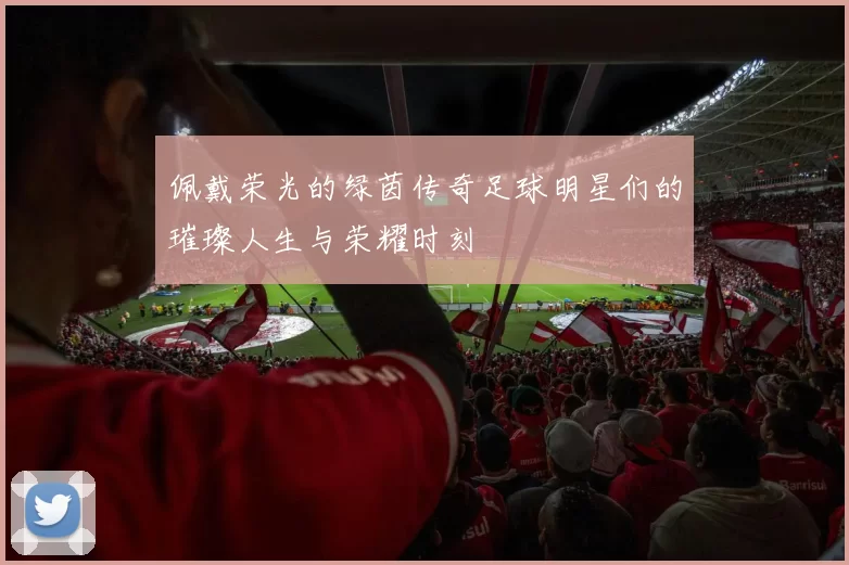 佩戴荣光的绿茵传奇足球明星们的璀璨人生与荣耀时刻