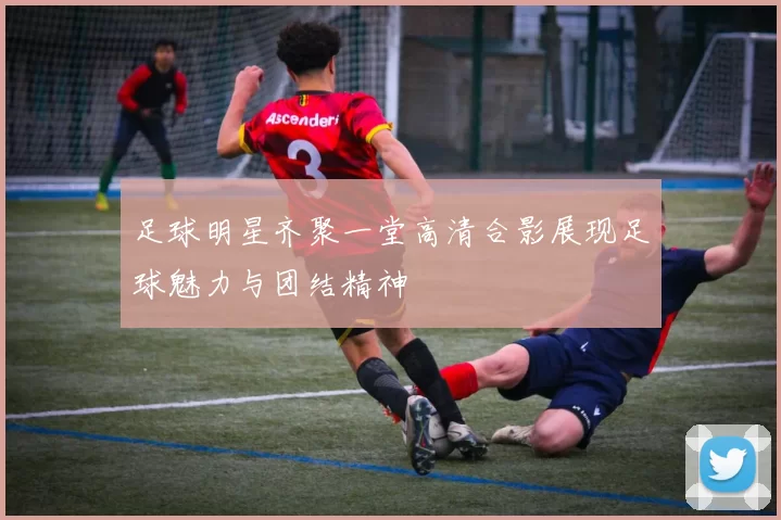 足球明星齐聚一堂高清合影展现足球魅力与团结精神