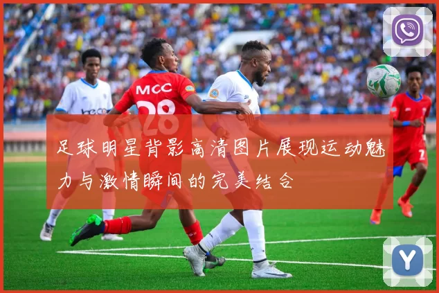 足球明星背影高清图片展现运动魅力与激情瞬间的完美结合