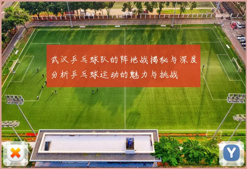 武汉乒乓球队的阵地战揭秘与深度分析乒乓球运动的魅力与挑战