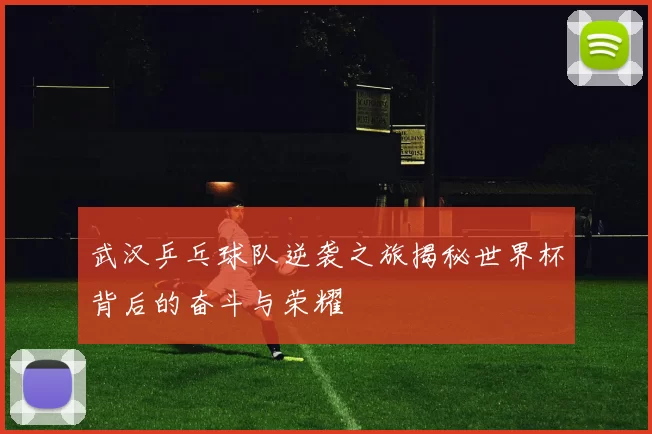 武汉乒乓球队逆袭之旅揭秘世界杯背后的奋斗与荣耀