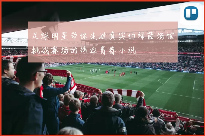 足球明星带你走进真实的绿茵场馆挑战赛场的热血青春小说