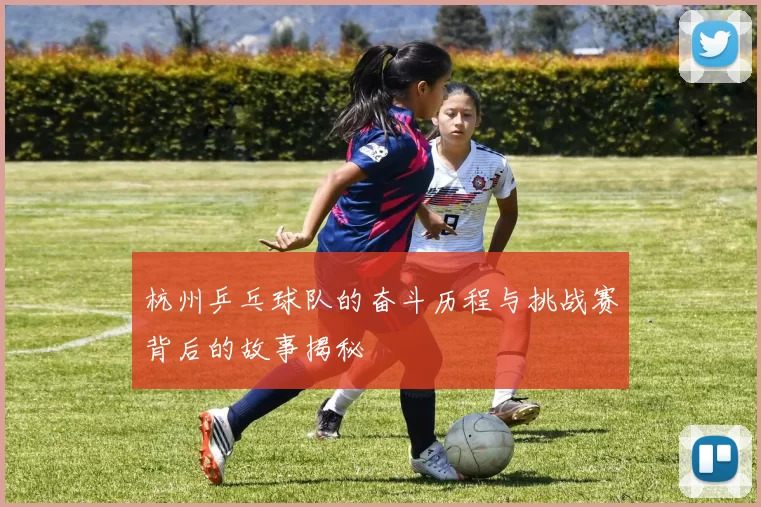 杭州乒乓球队的奋斗历程与挑战赛背后的故事揭秘