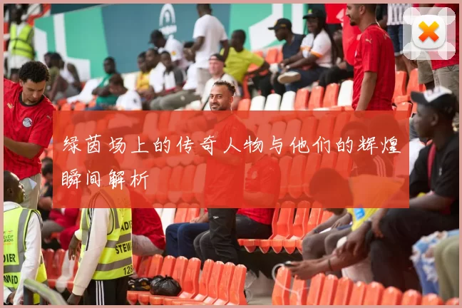 绿茵场上的传奇人物与他们的辉煌瞬间解析