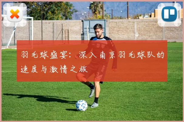 羽毛球盛宴：深入南京羽毛球队的速度与激情之旅