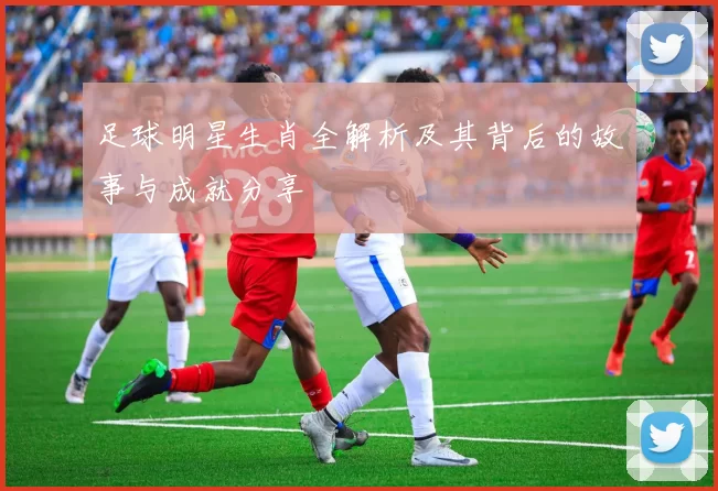 足球明星生肖全解析及其背后的故事与成就分享