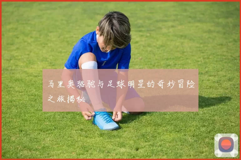 马里奥骆驼与足球明星的奇妙冒险之旅揭秘